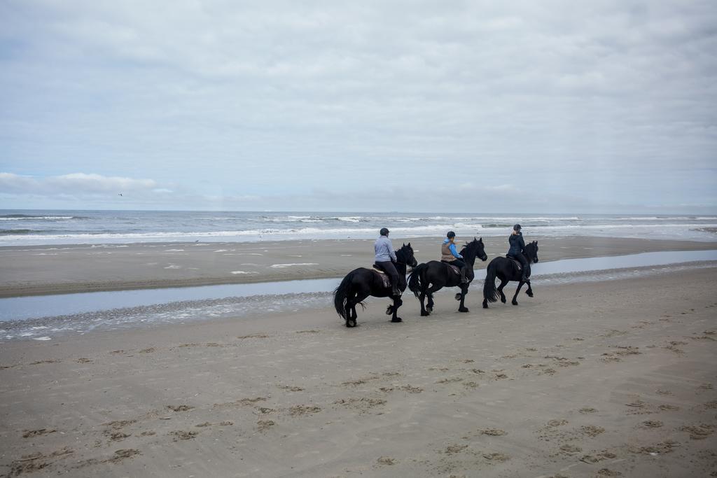 Tjermelan Terschelling 3*